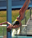 dive meet1.jpg
