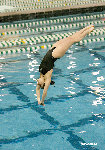 dive meet1.jpg