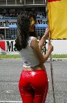 grid girls-L.jpg