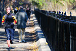 1050b-L.jpg