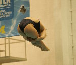 dive meet1a.jpg