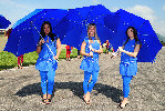 1113 grid-L.jpg