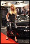 1223 grid girl-L.jpg
