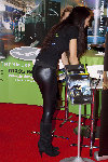 1242b-L.jpg