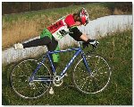 cyclocross-L.jpg
