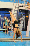 dive meet14.jpg
