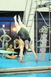 dive meet16.jpg