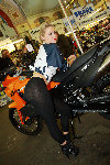 grid girls2c-L.jpg