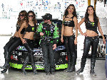 grid girls2-L.jpg