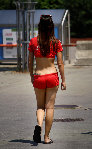 Bud Grls8.jpg