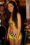 stevipedia.flickr.jpg