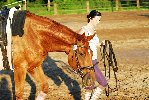 equine trainer-L.jpg
