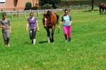 equine trainers-L.jpg