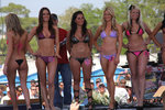 wilzig_sebring_24_hours_entertainment.jpg