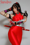2190641715_2d977f2251_o.cosplays1.jpg