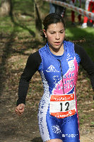 tri284.jpg