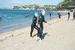 kohi summer swim series (kiwi)