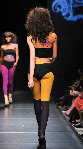 catwalk8a-L.jpg