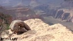 I will never forget this performance. In front of me the abyss in which it goes about 700m in the deep and in front of my eyes the wonderful panorama of the Grand Canyon. breathtaking