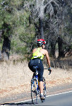 cyclist3-L.jpg