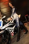 event-(ms)-carol_nashe_motorbike_gridgirl.jpg