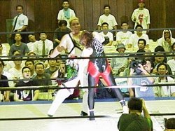 fight-jpn-mvc04-p.jpg