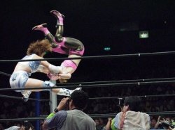 fight-jpn-o2706-p.jpg