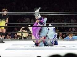 fight-jpn-o2713-p.jpg
