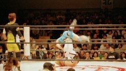 fight-jpn-o531g25-p.jpg